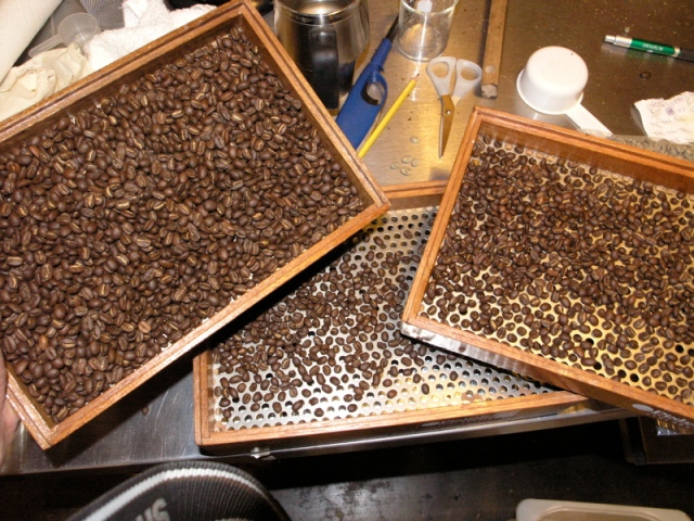 Sàng lọc và phân loại cà phê với dụng cụ screen size - nguồn sweetmarias.com